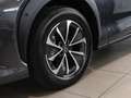 Lexus RZ 300e Executive Line Pano NAVI SHZ PDC KLIMA BT ZV Grau - thumbnail 13