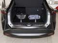 Lexus RZ 300e Executive Line Pano NAVI SHZ PDC KLIMA BT ZV Gris - thumbnail 10
