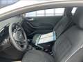 Ford Fiesta Trend Bluetooth Klima el. Fenster Blanc - thumbnail 10