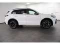 Volkswagen Tiguan 2.0 TDI 4M DSG,Navi,LED,RFK R-Line "Black Style" Weiß - thumbnail 4