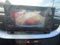 Kia XCeed 1.0 T-GDI GPL STYLE 1 PROP. Bianco - thumbnail 12