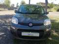Fiat Panda 1.2 LOUNGE plus +GPL "DIVERSI COLORI IN SEDE" Grigio - thumbnail 3
