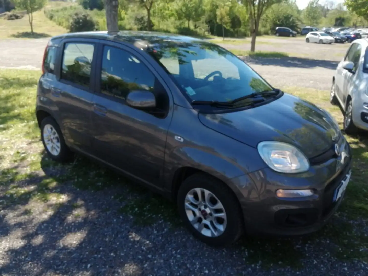 Fiat Panda 1.2 LOUNGE plus +GPL "DIVERSI COLORI IN SEDE" Grigio - 1