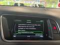 Audi SQ5 3.0 TDI competition quattro NAVI*AHK*KAMERA Grau - thumbnail 13