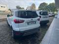 Ford EcoSport 1.0 EcoBoost 100 CV Plus Bianco - thumbnail 3