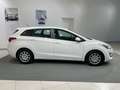 Hyundai i30 Wagon 1.6 crdi Classic 110cv Hyundai i30 Weiß - thumbnail 7