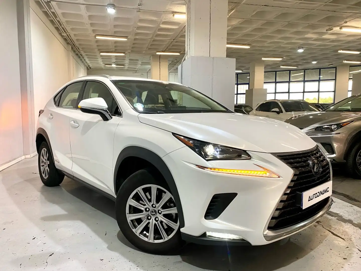 Lexus NX 300 300h Business Navigation 2WD Blanc - 2