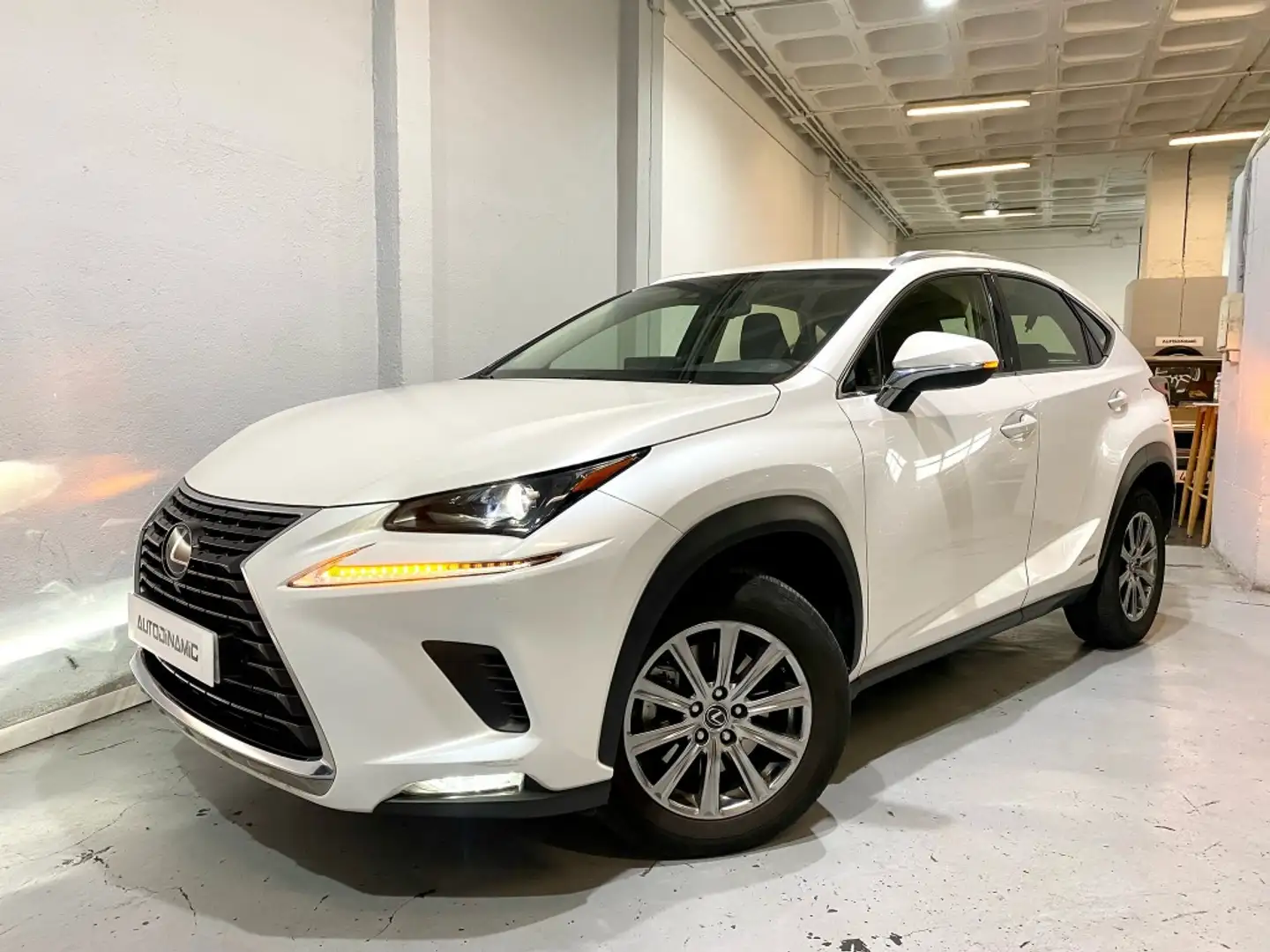 Lexus NX 300 300h Business Navigation 2WD Blanc - 1