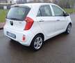 Kia Picanto Picanto II 2011 1.0 Glam Gpl 67cv 5p Bianco - thumbnail 4