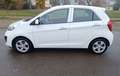 Kia Picanto Picanto II 2011 1.0 Glam Gpl 67cv 5p Bianco - thumbnail 5
