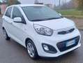 Kia Picanto Picanto II 2011 1.0 Glam Gpl 67cv 5p Bianco - thumbnail 1