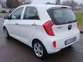 Kia Picanto Picanto II 2011 1.0 Glam Gpl 67cv 5p Bianco - thumbnail 9