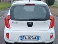 Kia Picanto Picanto II 2011 1.0 Glam Gpl 67cv 5p Bianco - thumbnail 7
