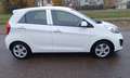 Kia Picanto Picanto II 2011 1.0 Glam Gpl 67cv 5p Bianco - thumbnail 8