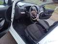 Kia Picanto Picanto II 2011 1.0 Glam Gpl 67cv 5p Bianco - thumbnail 13