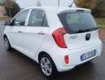 Kia Picanto Picanto II 2011 1.0 Glam Gpl 67cv 5p Bianco - thumbnail 6