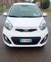 Kia Picanto Picanto II 2011 1.0 Glam Gpl 67cv 5p Bianco - thumbnail 11