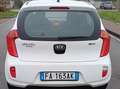 Kia Picanto Picanto II 2011 1.0 Glam Gpl 67cv 5p Bianco - thumbnail 12
