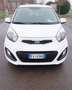 Kia Picanto Picanto II 2011 1.0 Glam Gpl 67cv 5p Bianco - thumbnail 3