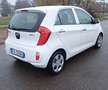 Kia Picanto Picanto II 2011 1.0 Glam Gpl 67cv 5p Bianco - thumbnail 10