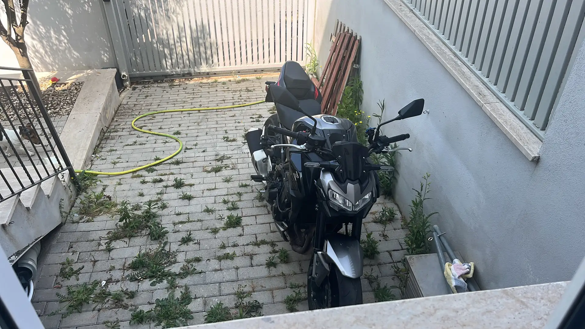 Kawasaki Z 900 my2023 - 1