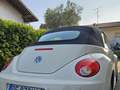 Volkswagen New Beetle Cabrio 1.9 tdi 105cv Beżowy - thumbnail 7