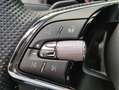 Skoda Kodiaq 1.5 TSI DSG Sportline Business Panoramadak - Trekh Zwart - thumbnail 13