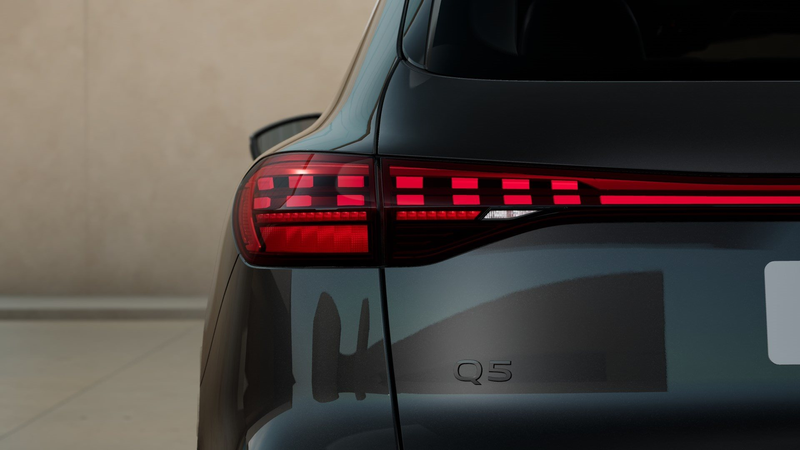 Audi Q5 TDI qu Tech LED AHK PANO Memory Kam PDC 20" — photo 7