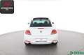 Volkswagen Beetle 2.0 TSI EXCLUSIVE SPORT FENDER,PANO,20Z. Weiß - thumbnail 4