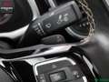 Volkswagen Beetle Beetle 2.0 TSI EXCLUSIVE SPORT FENDER,PANO,20Z. Weiß - thumbnail 18