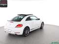 Volkswagen Beetle Beetle 2.0 TSI EXCLUSIVE SPORT FENDER,PANO,20Z. Blanc - thumbnail 5