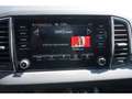 Skoda Karoq 1.5 TSI ACT Selection AHK Navi ACC Kamera WInter S Schwarz - thumbnail 21