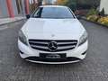 Mercedes-Benz A 160 A -Klasse A 160 CDI / d (176.011) Klima Weiß - thumbnail 2