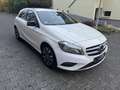 Mercedes-Benz A 160 A -Klasse A 160 CDI / d (176.011) Klima Weiß - thumbnail 3