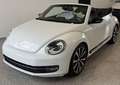 Volkswagen Beetle Cabrio 2.0TDI Design DSG 140 Blanco - thumbnail 6