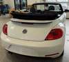 Volkswagen Beetle Cabrio 2.0TDI Design DSG 140 Blanco - thumbnail 4