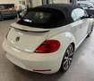 Volkswagen Beetle Cabrio 2.0TDI Design DSG 140 Blanco - thumbnail 5