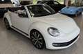 Volkswagen Beetle Cabrio 2.0TDI Design DSG 140 Blanco - thumbnail 8