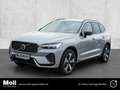 Volvo XC60 Plus Dark Recharge Plug-In Hybrid AWD T8 Twin Engi Grau - thumbnail 1