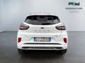 Ford Puma II 2020 - Puma 1.0 ecoboost h ST-Line Vignale s&s Weiß - thumbnail 6