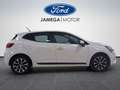 Renault Clio TCe Intens 67kW Wit - thumbnail 7
