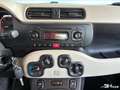 Fiat Panda 0.9 TWINAIR 85 EASY DUALOGIC BVA START-STOP - thumbnail 13