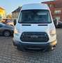 Ford Transit 350 L3 H2 Trend Weiß - thumbnail 2