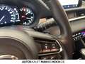 Mazda 6 SK SKYACTIV-G 194 FWD 5T AG AL-SPORTS AHK Navi Rot - thumbnail 18