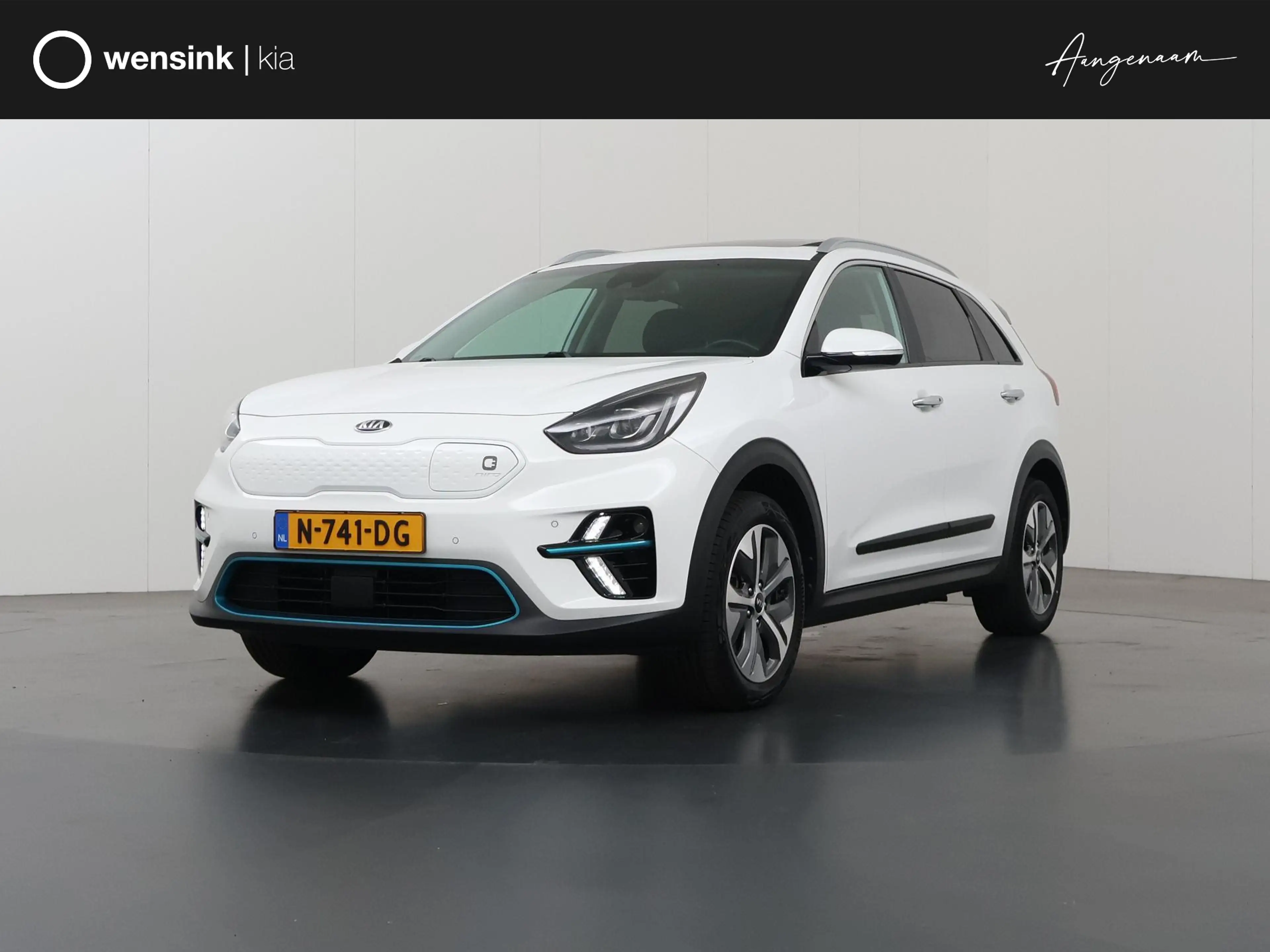 Kia e-Niro DynamicPlusLine 64 kWh | Trekhaak | Schuif/kantel