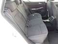 Volkswagen Golf Variant VIII Variant Style LED Vor.NAVI AHZV ACC SHZ beh. Wit - thumbnail 15