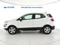 Ford EcoSport 1.0 ecoboost Connect 100cv White - thumbnail 8