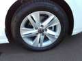Volkswagen Golf VIII Lim. Life Blanc - thumbnail 19