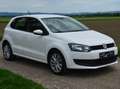 Volkswagen Polo Trendline 1,2 Weiß - thumbnail 12