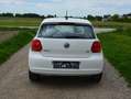 Volkswagen Polo Trendline 1,2 Weiß - thumbnail 7